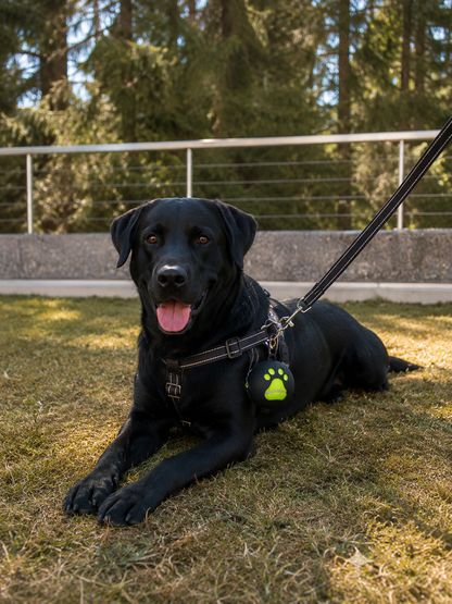 Hunde Tennisballhalter
