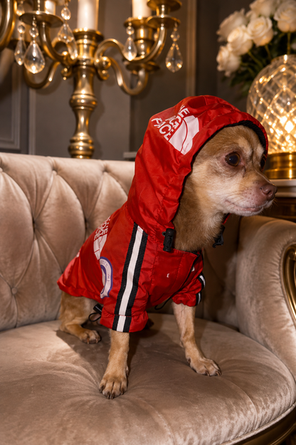 Hunde Regenjacke