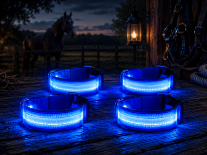 LED Pferdebeinbänder