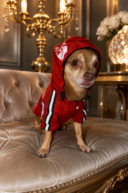 Hunde Regenjacke