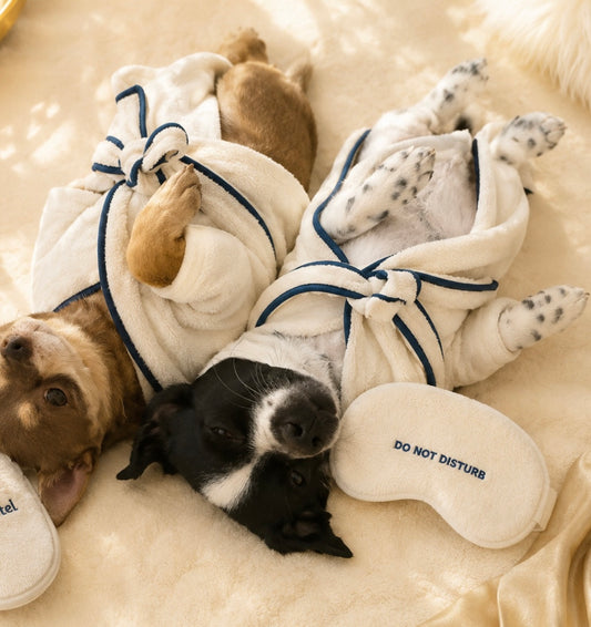 Wellness Hundebademantel